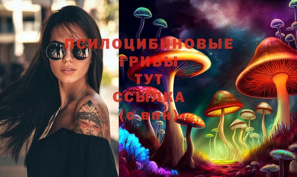 apvp Медногорск