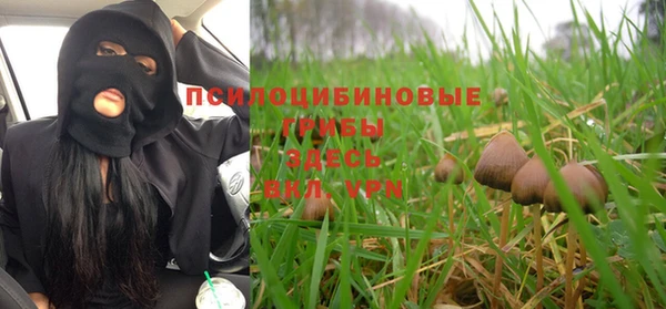 стафф Магас