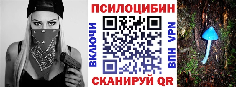 Галлюциногенные грибы мицелий  Купить где  Амурск 
